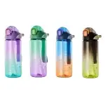 Four Seliya 750ml gradient bottles in purple, green, blue and black
