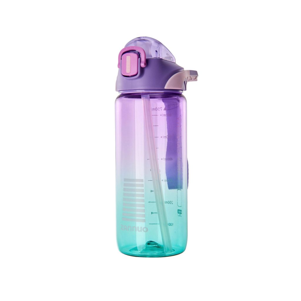 Seliya 750ml gradient water bottle, purple to teal, flip lid and straw