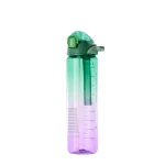Seliya 1L gradient water bottle, green to purple, side view with scale